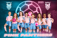 Pink Panther Team Portrait copy
