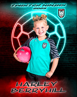 Harley Berryhill copy