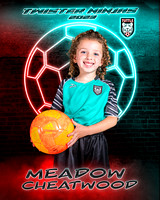 Meadow Cheatwood copy