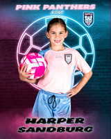 Harper Sandburg copy