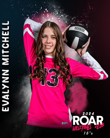 Evalynn Mitchell copy
