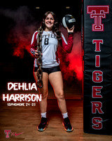 Dehlia 01 copy